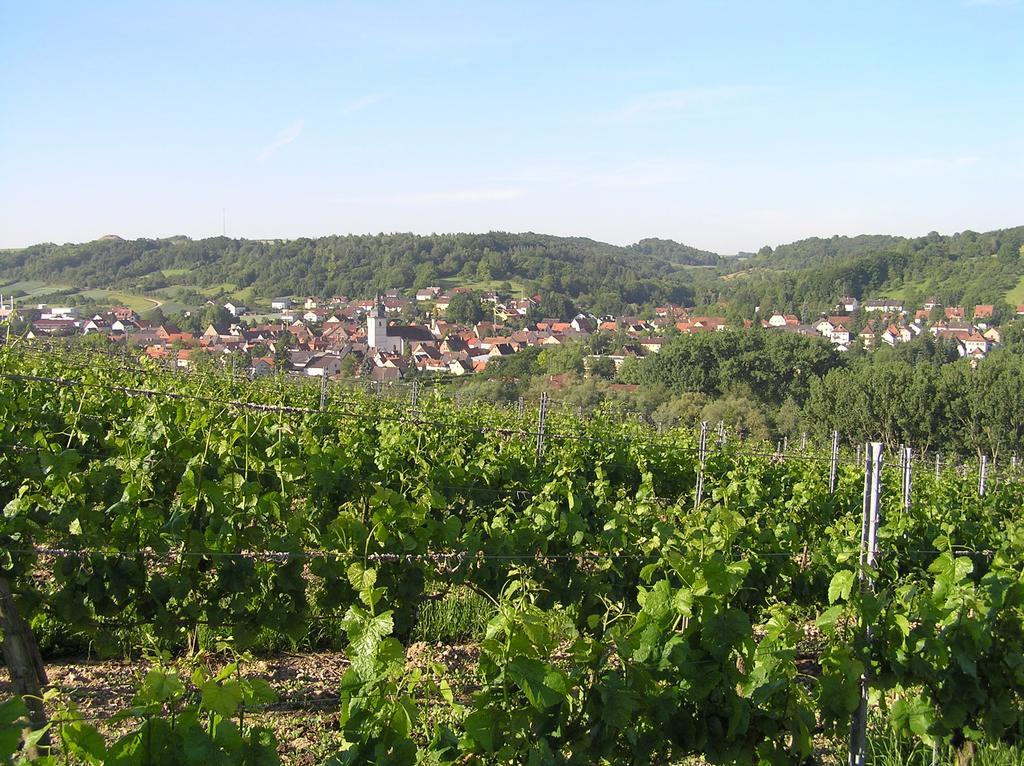 Ferienwohnung Am Alten Berg 奥森富尔特 外观 照片