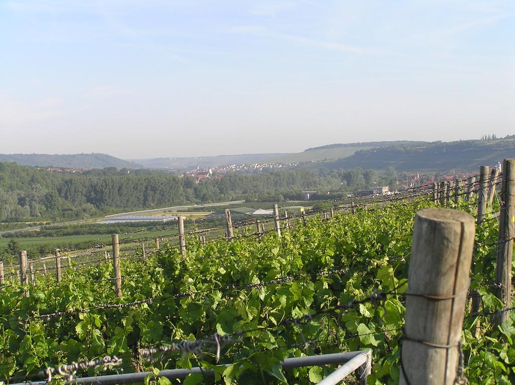 Ferienwohnung Am Alten Berg 奥森富尔特 外观 照片