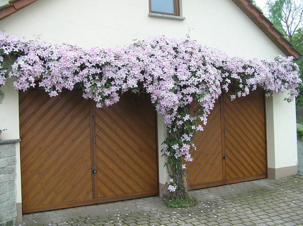 Ferienwohnung Am Alten Berg 奥森富尔特 外观 照片